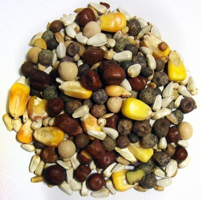 Image showing  Super Crack Small Corn Pigeon Food, 50 lb., 41815
