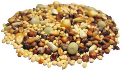 Image showing  Dove, Pigeon & Quail Food, 50 lb., 40802