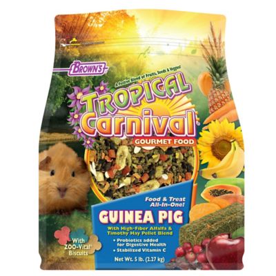 Brown's Tropical Carnival Guinea Pig Food, 5 lb.