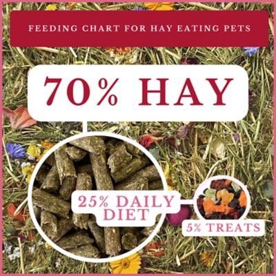 Image showing  All-Natural Small Pet Botanical Hay, 48 oz.