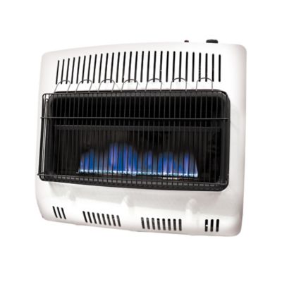 Mr. Heater 30,000 BTU Vent-Free Blue Frame Dual Fuel Heater