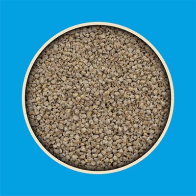 Image showing  16% Layer Crumbled Chicken Feed