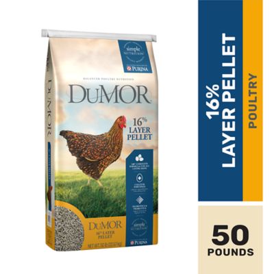 DuMOR 16% Layer Poultry Feed Pellets, Calcium Fortified, 50 lb. Bag