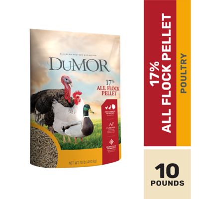 DuMOR 17% All Flock Pellet Poultry Feed, 10 lb.