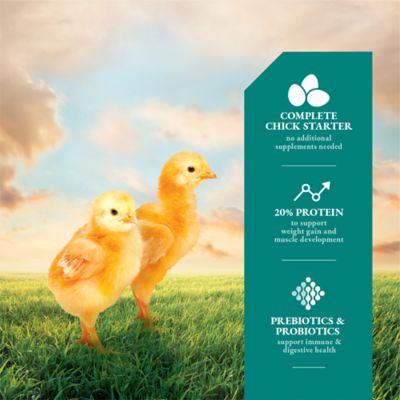 Image showing  20% Chick Starter/Grower Crumbled Chicken Feed