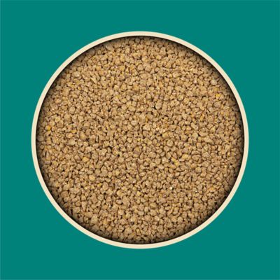 Image showing  20% Chick Starter/Grower Crumbled Chicken Feed