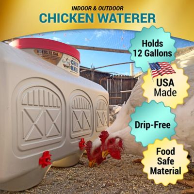 Image showing  12 gal. Chicken Waterer