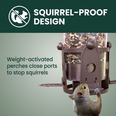 Image showing  4 lb. Squirrel-Proof Bird Feeder with Flexports