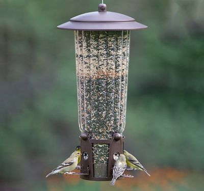 Image showing  4 lb. Squirrel-Proof Bird Feeder with Flexports