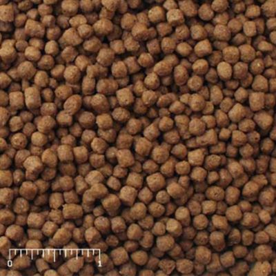 Image showing 5 th Mazuri Aquatic Turtle Food