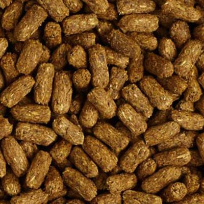 Image showing  LS Low Starch Tortoise Food, 12 oz. Bag