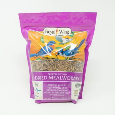 Royal Wing Berry-Flavored Mealworm Wild Bird Food Treats, 17.6 oz.