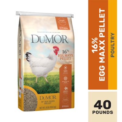 DuMOR 16% Egg Maxx Pelleted Chicken Feed, 40 lb. Bag