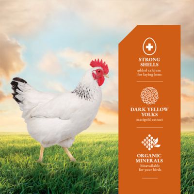 Image showing  16% Egg Maxx Pelleted Chicken Feed
