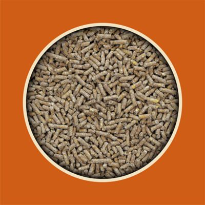 Image showing  16% Egg Maxx Pelleted Chicken Feed