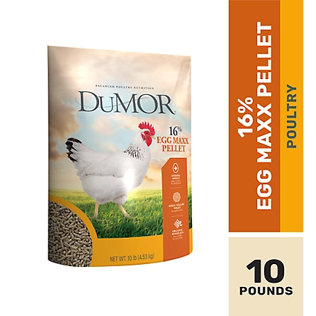 DuMOR 16% Egg Maxx Pellet Poultry Feed, 10 lb.
