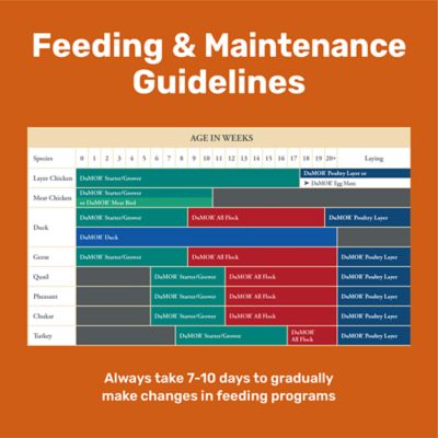 Image showing  16% Egg Maxx Pelleted Chicken Feed