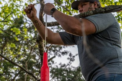 Image showing  All Caliber Target Bottles