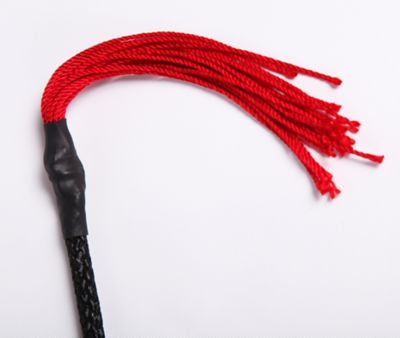 Image showing  Easy Touch Pig Whip, 39 in.