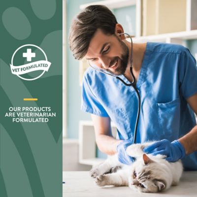 Image showing  Hemp Quiet Moments Soft Chews for Cats