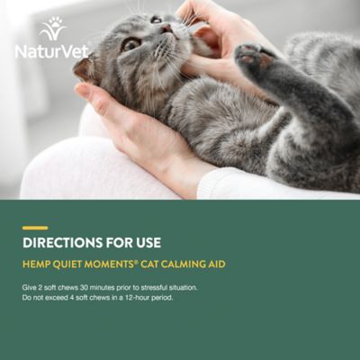 Image showing  Hemp Quiet Moments Soft Chews for Cats