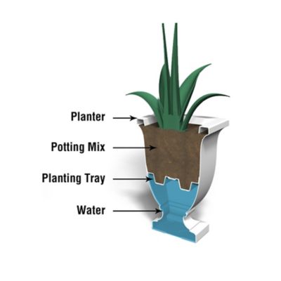 Image showing  Polyethylene Augusta Planter, 26 in.