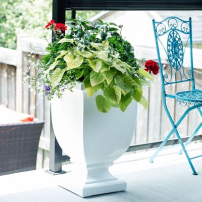 Image showing  Polyethylene Augusta Planter, 26 in.