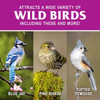 Image showing  Birdwatchers Banquet Wild Bird Food