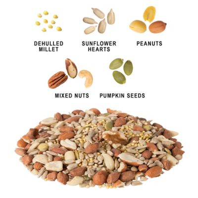 Image showing  Shell-Free Mix Wild Bird Food