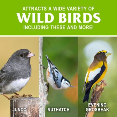 Image showing  Shell-Free Mix Wild Bird Food