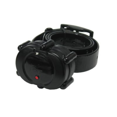 Image showing  900 yd. Remote Dog Training Collar, IPlus