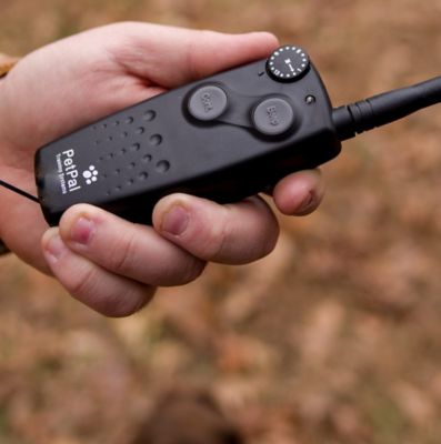 Image showing  Canine Coach Rechargeable 360 yd. Range Remote Dog Training Collar