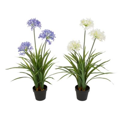 Gerson International Potted Artificial Agapanthus Plants, 37 in., 2 pk. at  Tractor Supply Co.