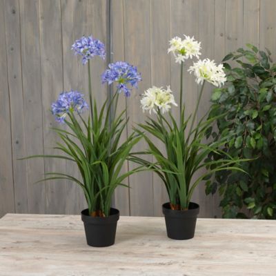 Gerson International Potted Artificial Agapanthus Plants, 37 in., 2 pk. at  Tractor Supply Co.