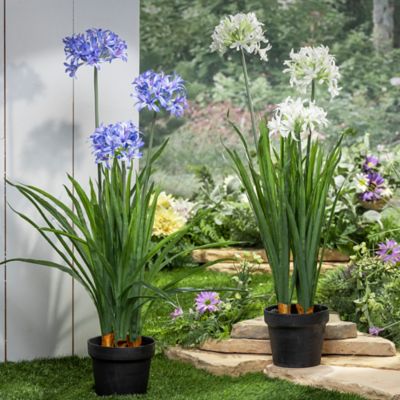 Gerson International Potted Artificial Agapanthus Plants, 37 in., 2 pk. at  Tractor Supply Co.