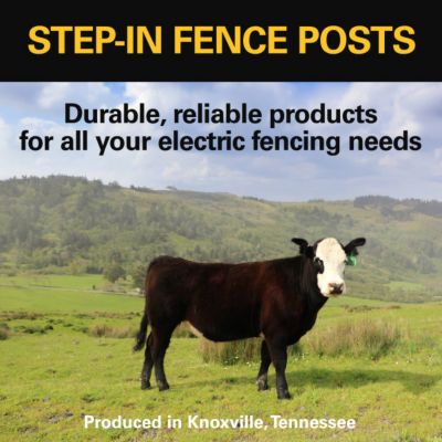 Image showing  4 ft. Step-In Fence Post for Fence Wire and Polytape Up to 2 in. W, Purple
