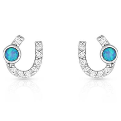 Montana Silversmiths Lightfoot Horseshoe Earrings