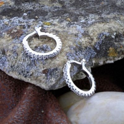 Image showing  Classic Small Hoop Earrings