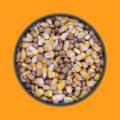 Image showing  Prime Deer Feed Blend with Roasted Soybeans and Corn, 40 lb. Bag