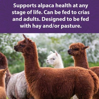 Image showing  Care Crumbles Alpaca Feed, 40 lb. Bag