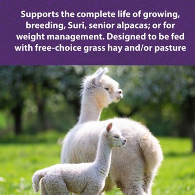 Image showing  Complete Life Pelleted Alpaca Feed, 40 lb. Bag