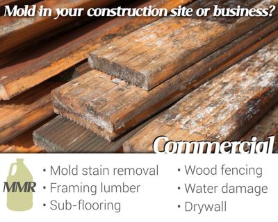 Image showing  1 gal. Professional Instant Mold and Mildew Stain Remover