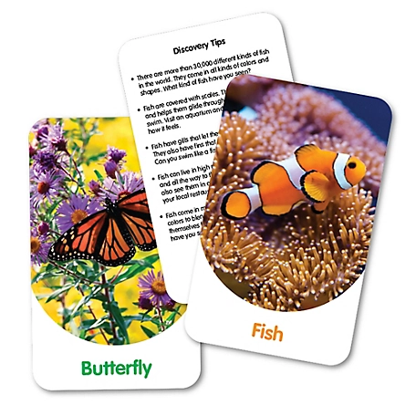 The Learning Journey Out and About Discovery Cards