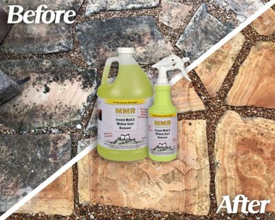 Image showing  2 gal. Professional Instant Mold and Mildew Stain Remover