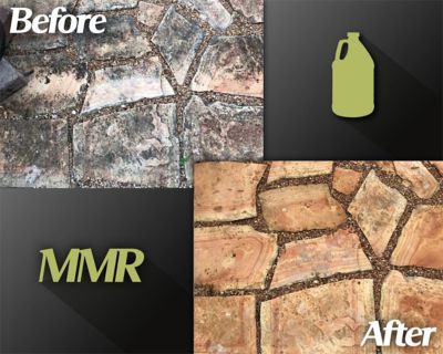 Image showing  2 gal. Professional Instant Mold and Mildew Stain Remover