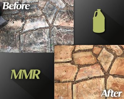 Image showing  32 oz. Professional Instant Mold and Mildew Stain Remover