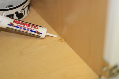 Image showing  1.23 oz. Magnetic Roach Bait Paste, 4-Pack