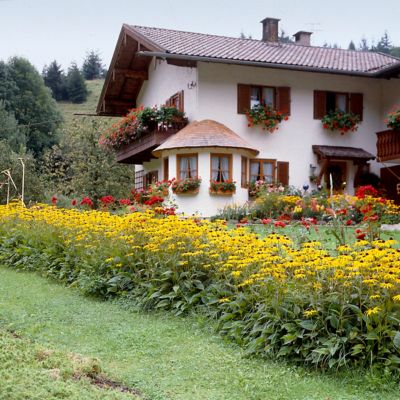 Image showing 2 th Van Zyverden Goldstrum Coneflower Rudbeckia Plant Mix, 5 Roots