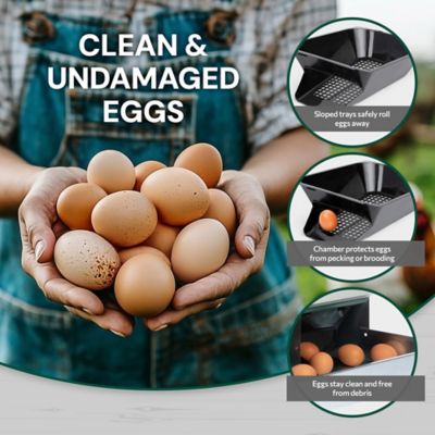 Image showing  Metal Roll-Away 4-Compartment Chicken Nesting Box