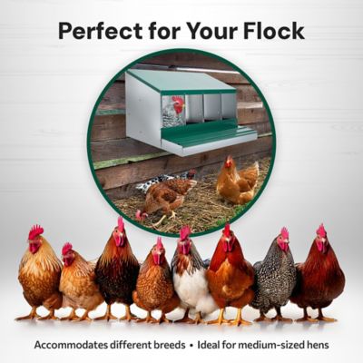 Image showing  Metal Roll-Away 4-Compartment Chicken Nesting Box